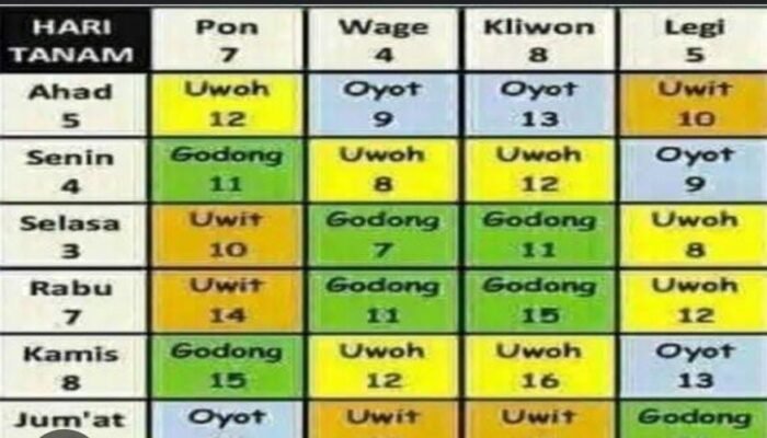 Cara Menggunakan Weton Jawa untuk Menebak Sifat dan Kepribadian Seseorang
