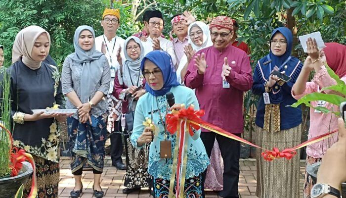 DLH Bangun Taman Anggrek, Warga Semarang Diajak Budidaya Tanaman