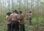 Data Satwa Grobogan, Saka Wanabakti Purwodadi Amati Satwa Liar di Hutan Grobogan
