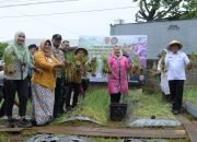 Mbak Ita Panen Bawang Varietas Bima Brebes
