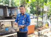 Tekan Stunting, Kecamatan Semarang Barat Kembangkan Taman Edukasi Ayam KUB