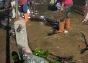 Pemkot Semarang Gercep Tangani Banjir Tugu-Ngaliyan