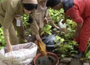 Biaya Perawatan Capai Rp2 Miliar, Disperkim Semarang Ajak Perusahaan Kelola Taman Kota