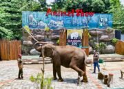 Pelajar Gratis Masuk Semarang Zoo Mulai 22 Juni, Ini Syarat dan Ketentuannya